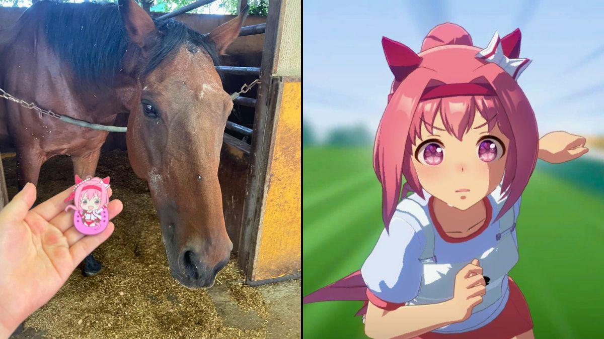 Haru Urara, Japan’s beloved racehorse and ‘Umamusume: Pretty Derby’ icon dies at 29